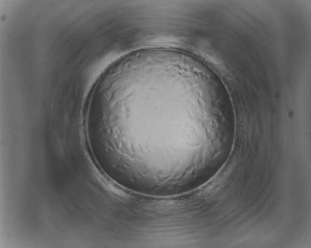 X0000071381470200606261401