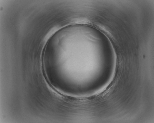 X0000071381471200606261401