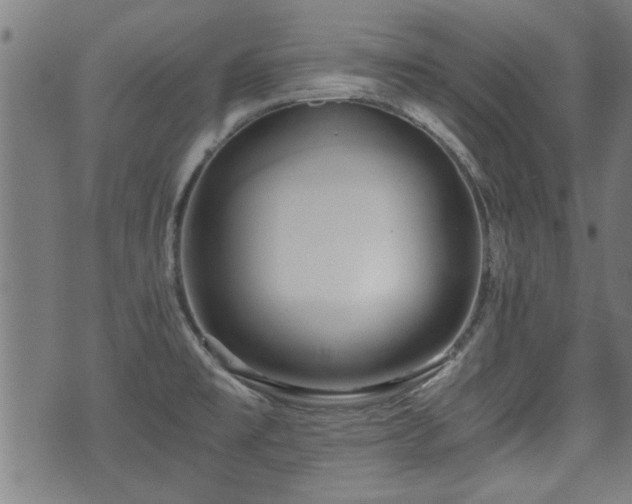 X0000071381477200606261401