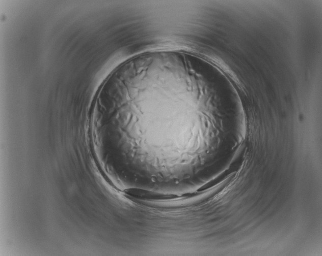 X0000071381484200606261401