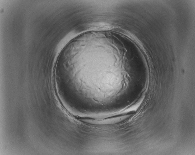 X0000071381488200606261401