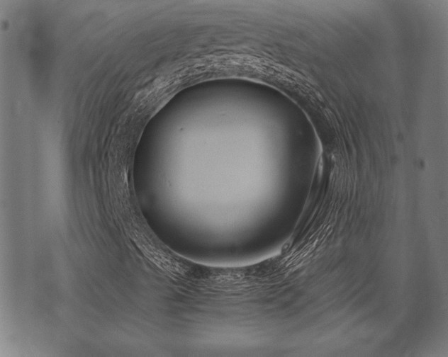 X0000071381489200606261400