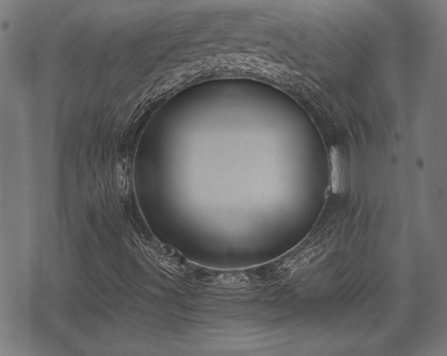 X0000071381491200606261400