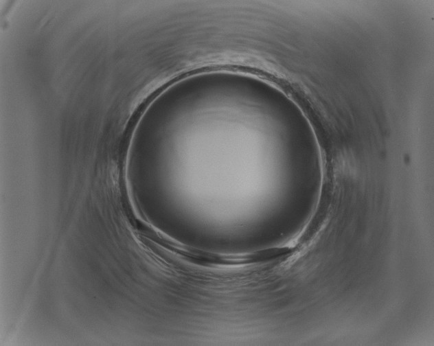 X0000071381505200606261400