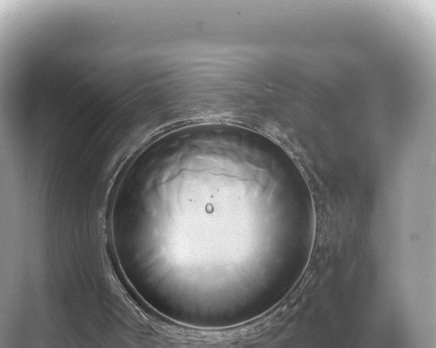 X0000071380002200606301822