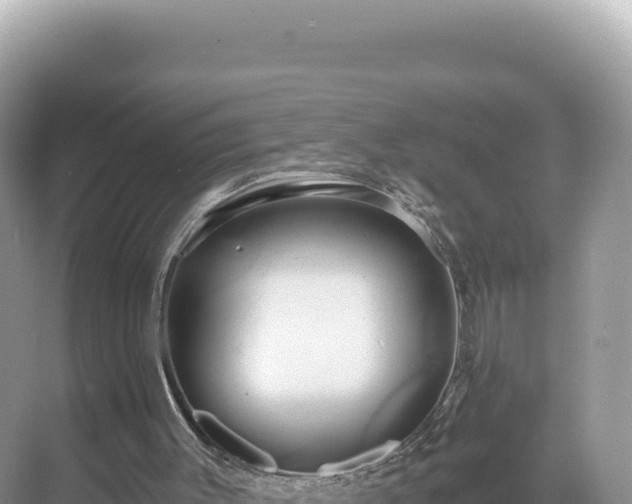 X0000071380003200606301822