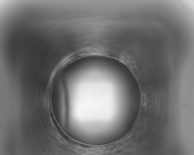 X0000071380004200606301822