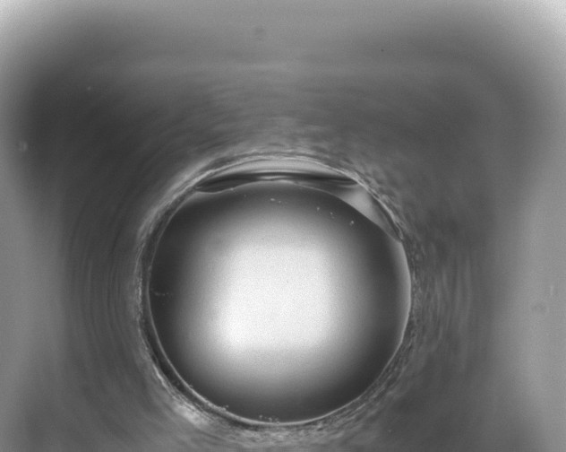 X0000071380005200606301822