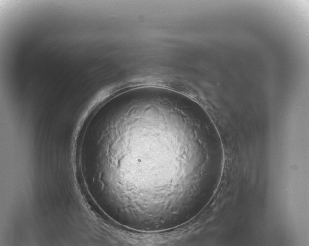 X0000071380006200606301822