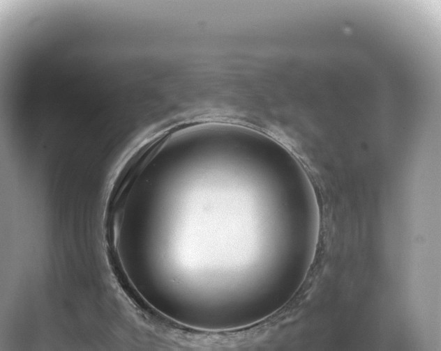 X0000071380007200606301822