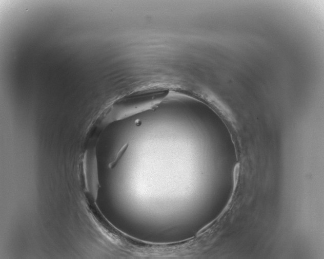 X0000071380009200606301822