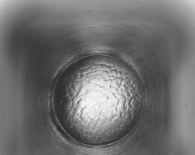 X0000071380010200606301822