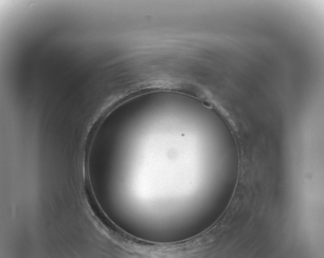 X0000071380011200606301822