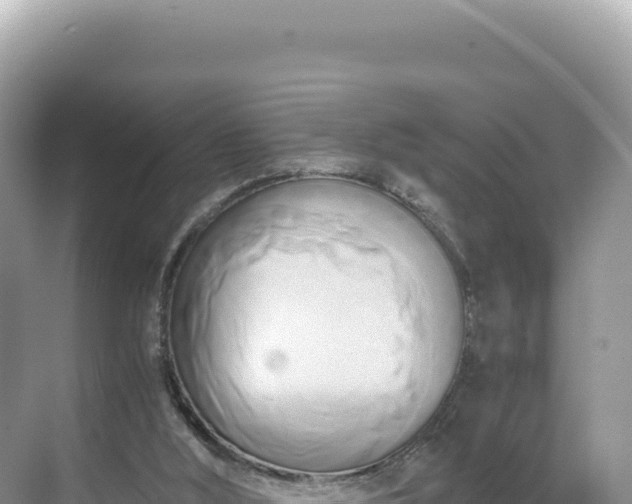 X0000071380012200606301822