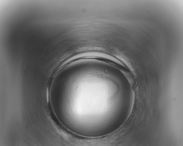 X0000071380013200606301822