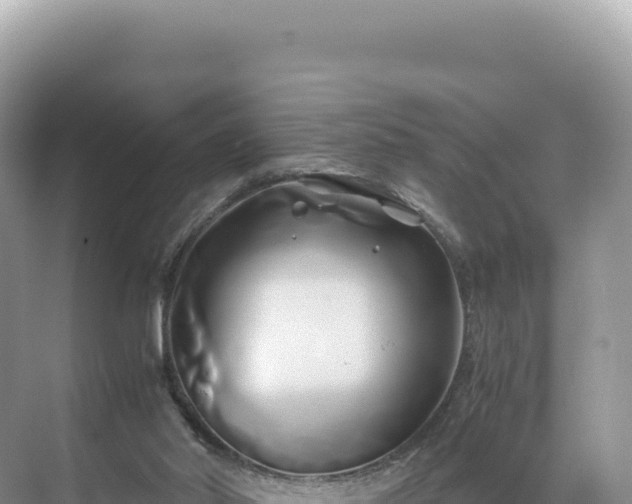 X0000071380014200606301822