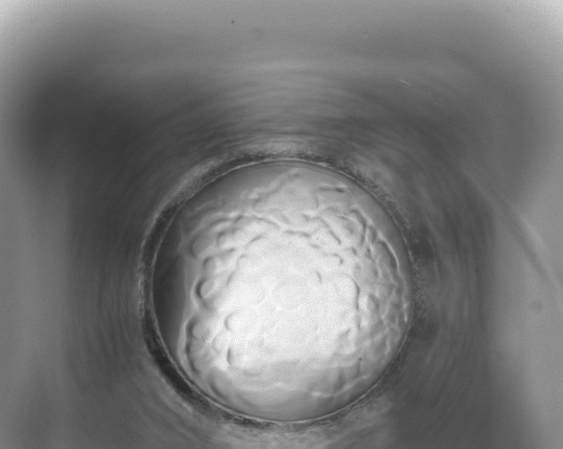 X0000071380016200606301822