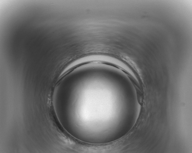 X0000071380017200606301822