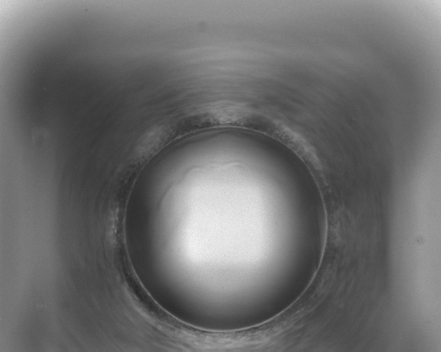 X0000071380018200606301822