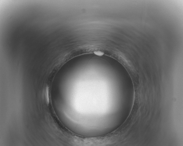 X0000071380022200606301821