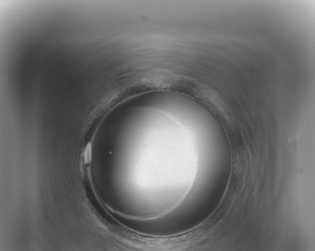 X0000071380023200606301821