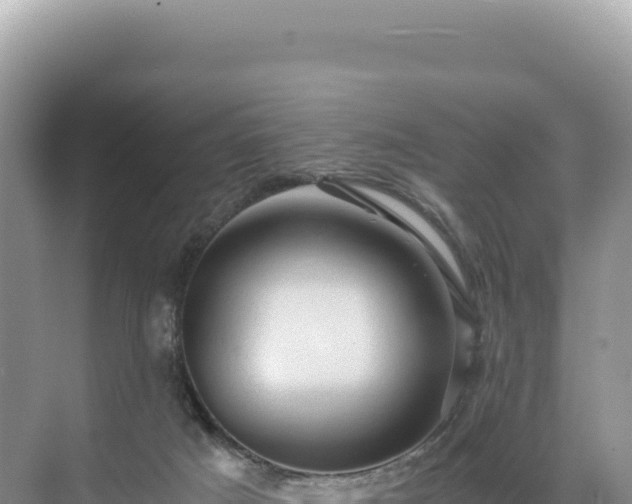 X0000071380025200606301821