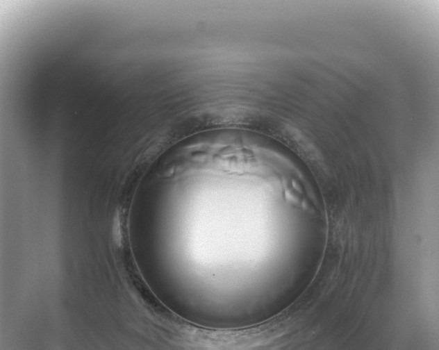 X0000071380026200606301821