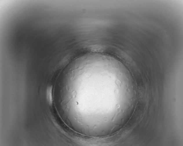 X0000071380028200606301821