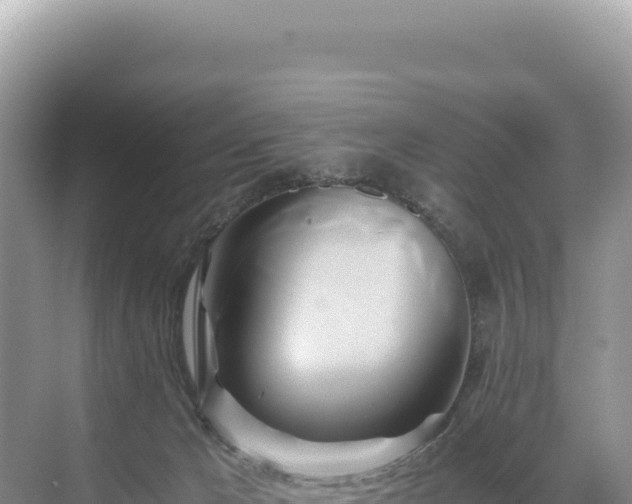 X0000071380029200606301821