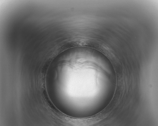 X0000071380030200606301821