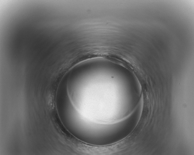 X0000071380031200606301821