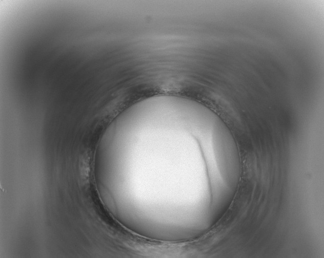 X0000071380032200606301821