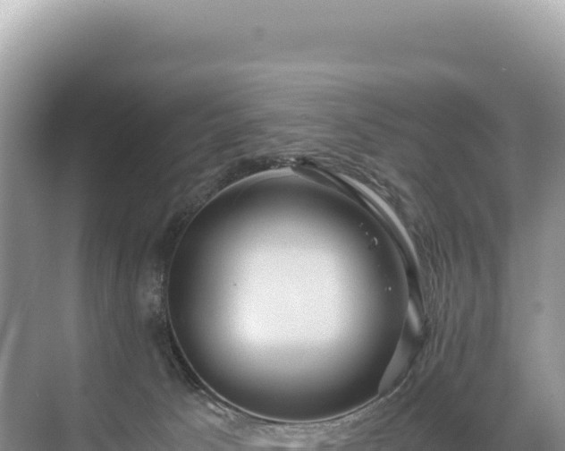 X0000071380033200606301821