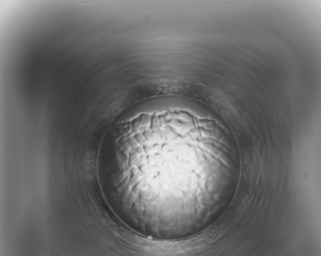 X0000071380034200606301821