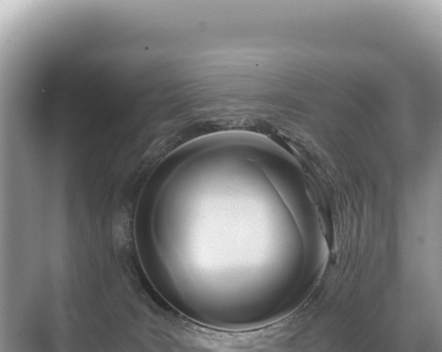 X0000071380035200606301821