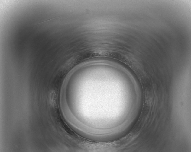 X0000071380036200606301821