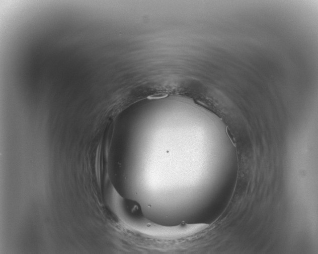 X0000071380037200606301821