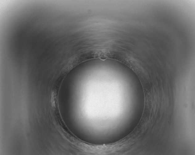 X0000071380038200606301821