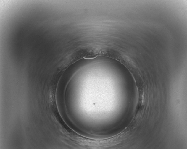 X0000071380039200606301821