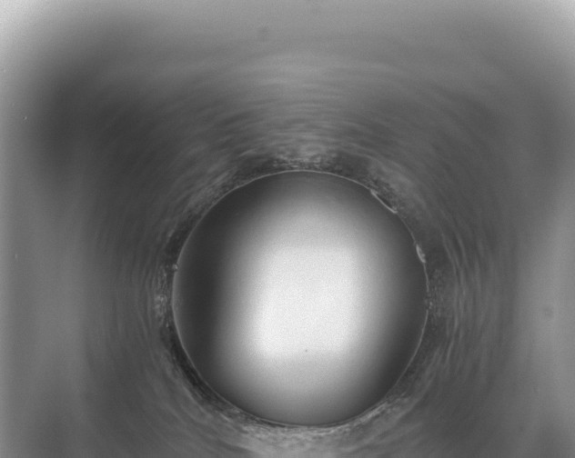 X0000071380040200606301821