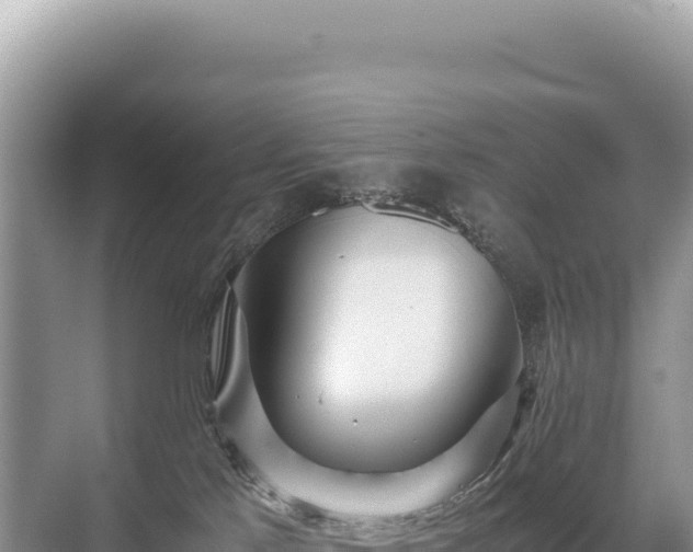 X0000071380041200606301821