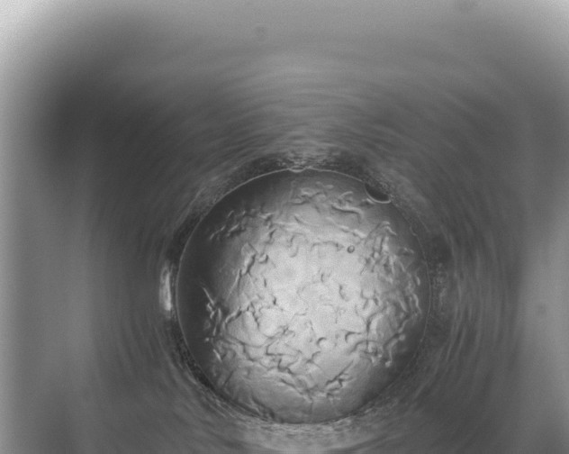 X0000071380042200606301821