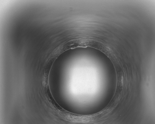 X0000071380044200606301821