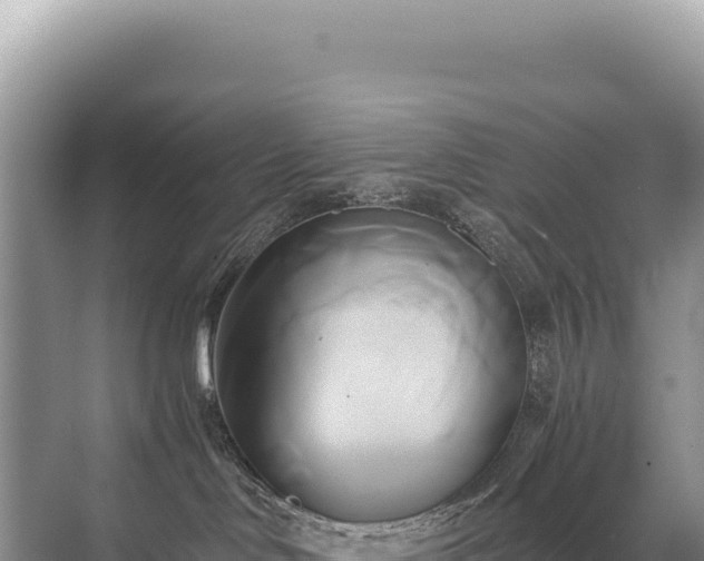 X0000071380046200606301821