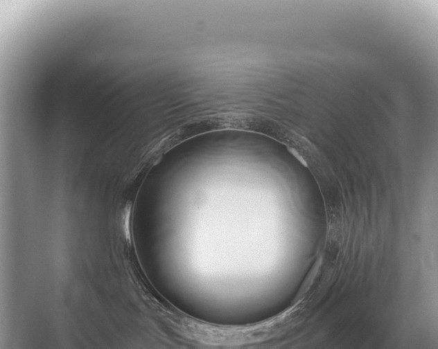 X0000071380047200606301821