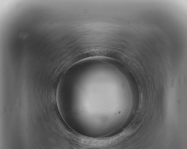 X0000071380048200606301821