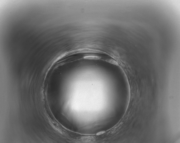 X0000071380050200606301820