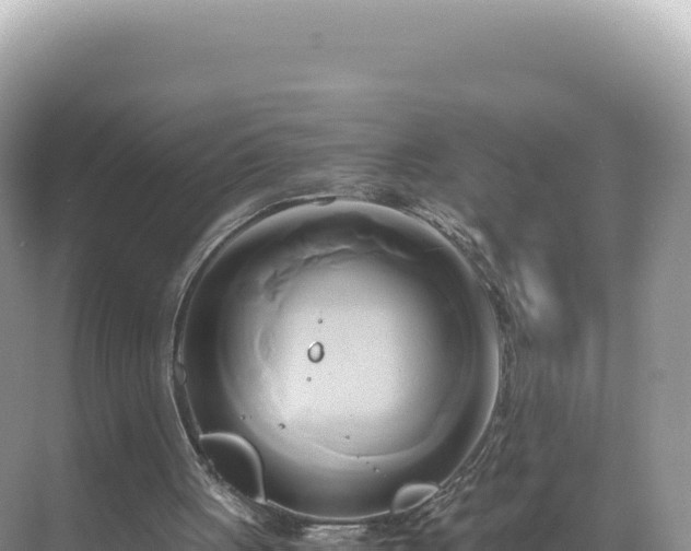 X0000071380051200606301820