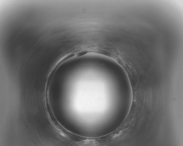 X0000071380052200606301820