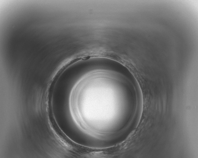 X0000071380054200606301820